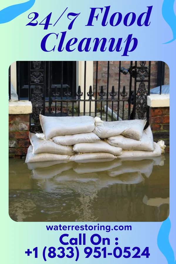 24/7 Flood Cleanup in Summerfield, IL