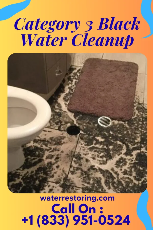 Category 3 Black Water Cleanup in Summerfield, IL
