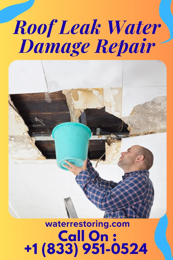 Roof Leak Water Damage Repair in Summerfield, IL