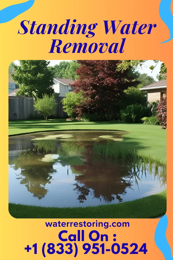 Standing Water Removal in Summerfield, IL